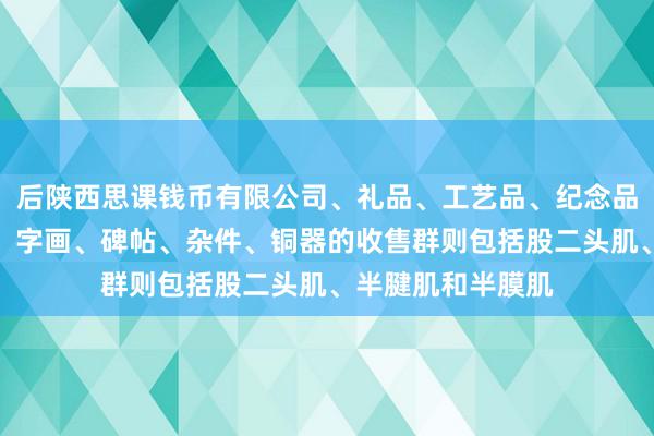 后陕西思课钱币有限公司、礼品、工艺品、纪念品、古钱币、玉器、字画、碑帖、杂件、铜器的收售群则包括股二头肌、半腱肌和半膜肌